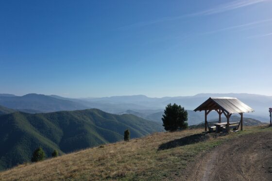 Nvo „STEP“ Kroz Nekoliko Aktivnosti Realizovala Projekat „RURAL VOGOŠĆA“